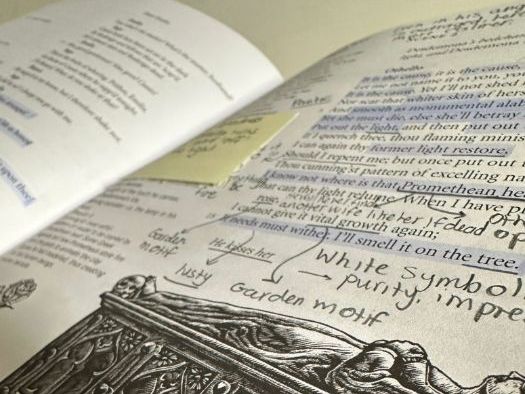 Othello annotations (Act 5)