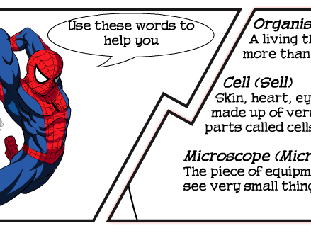 Cells and Diffusion Keywords Literacy Lesson (SEN / Foundation)