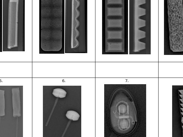 Guess the Treat X-Ray Quiz