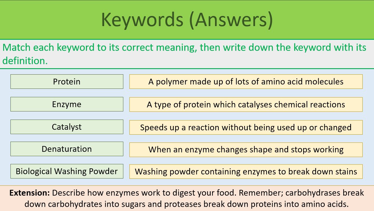 Enzymes in Industry KS3 Year 9 Teaching Resources