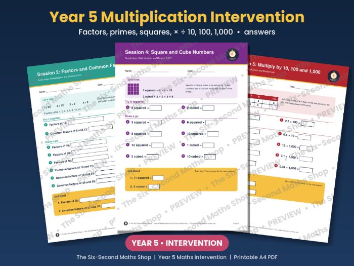 Year 5 Multiplication and Division Intervention Pack - Factors, Primes and Place Value