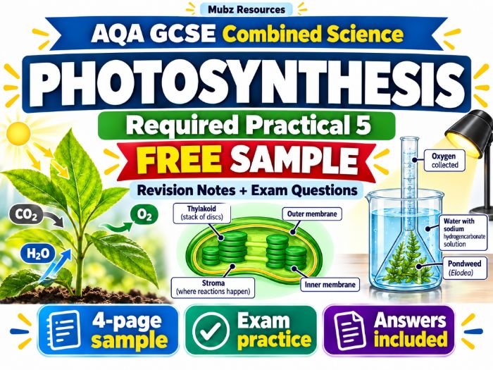 FREE AQA GCSE Photosynthesis Required Practical