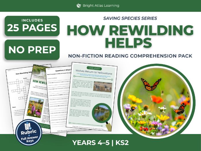 Rewilding Reading Comprehension | KS2 Years 4 & 5