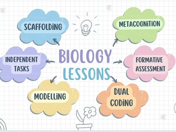 Menstrual cycle Ks3/GCSE