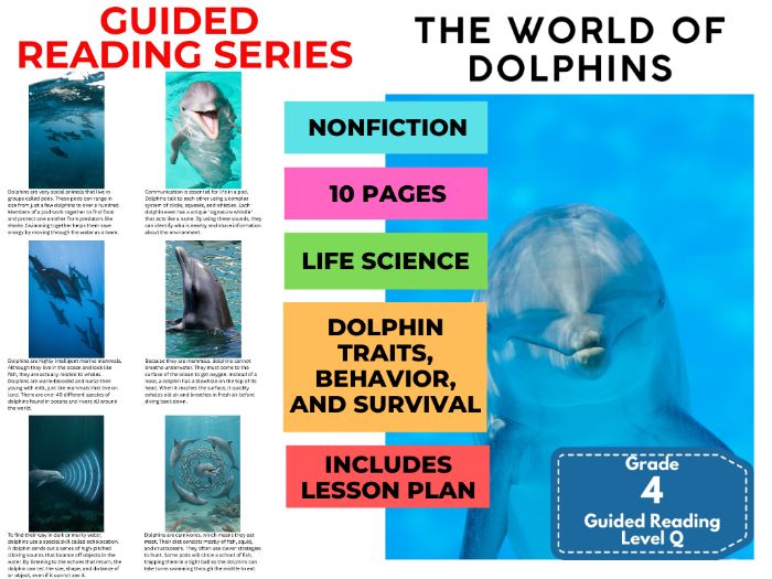 Year 5 Guided Reading Level Q Dolphins with Lesson Plan