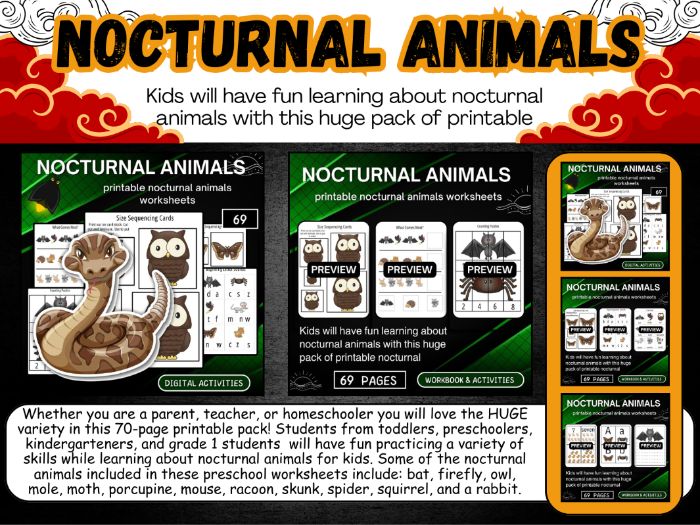 printable nocturnal animals worksheets