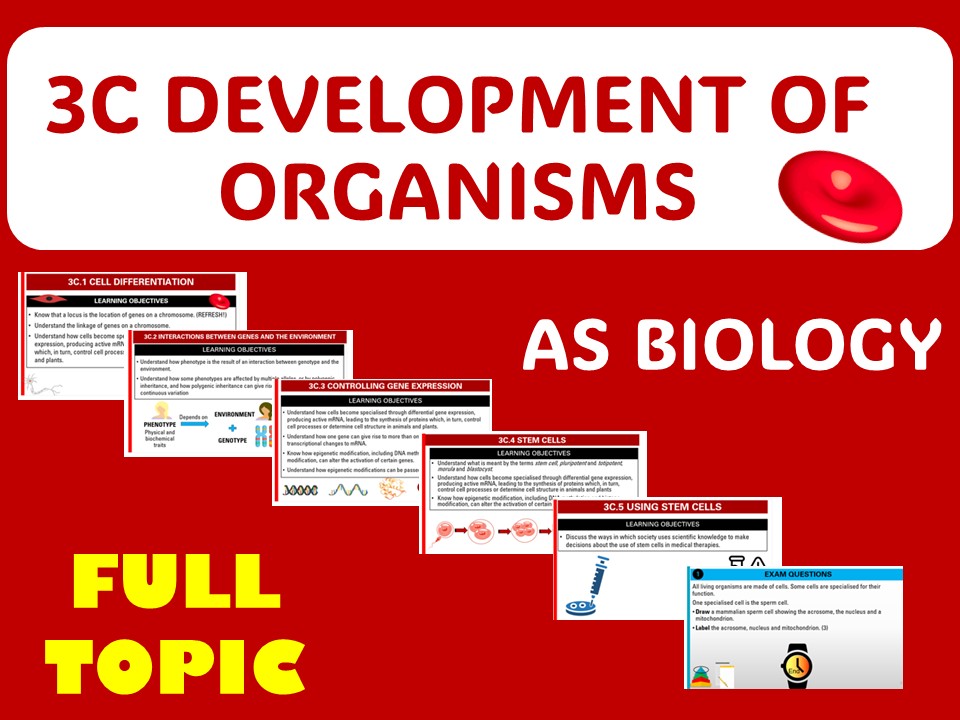 Development of organisms – AS FULL TOPIC