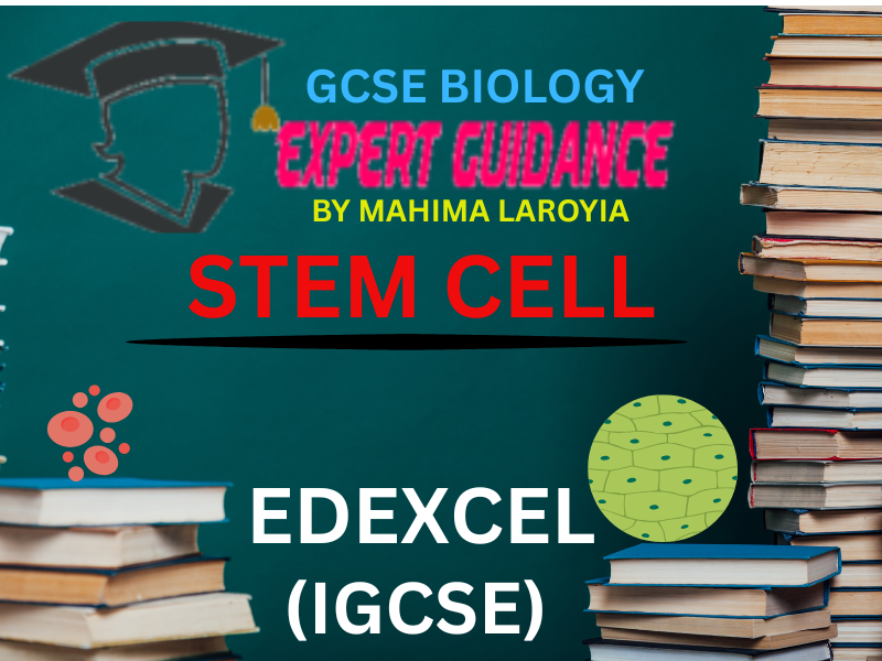 EDEXCEL (IGCSE) - GCSE BIOLOGY STEM CELLS