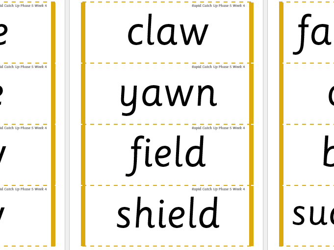 Rapid Catch Up Phase 5 Week 4 (Supports Little Wandle)