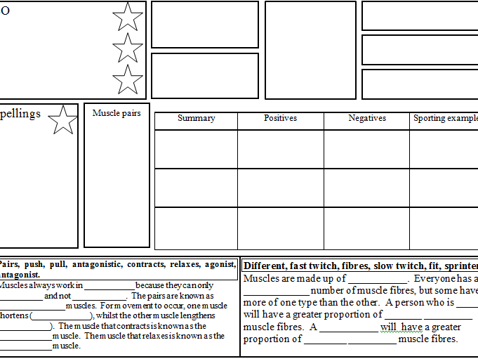 Muscle Pairs & Fibres lesson with a differentiated learning mat and exam question