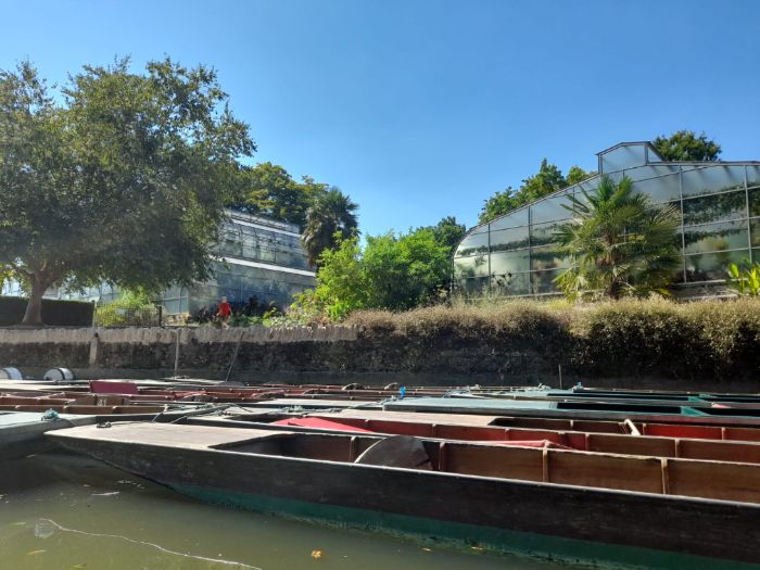 Language Analysis ideal for GCSE and Creative Writing