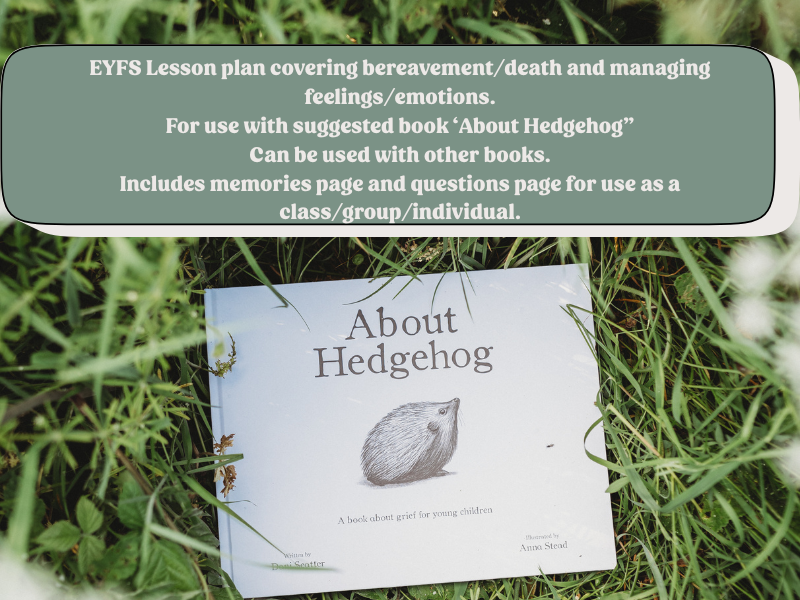 EYFS bereavement support lesson plan