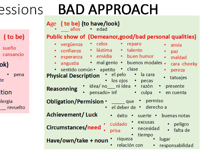 Spanish TENER Expressions, Bingo , Story
