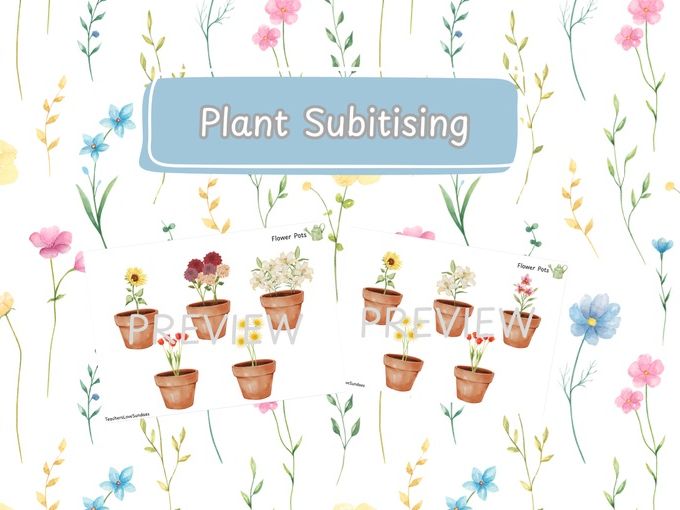 Plant Pot Subitising (1-10)