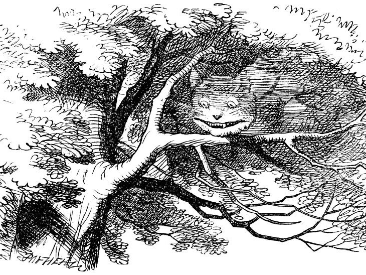 Alice in Wonderland Chapter 6 Worksheet