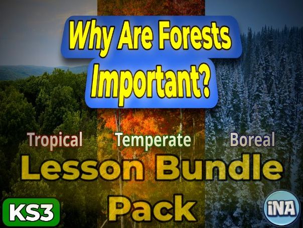 The Forests of the World - Complete Lesson Pack (KS3 Geography)