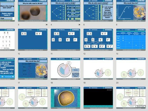 AQA GCSE Biology B2.1 – Cell Division (Mitosis) | Full Lesson, Worksheets & Answers (Editable)