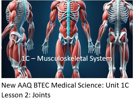 NEW: AAQ BTEC Medical Science Unit 1C Musculoskeletal System - Lesson2: Joints