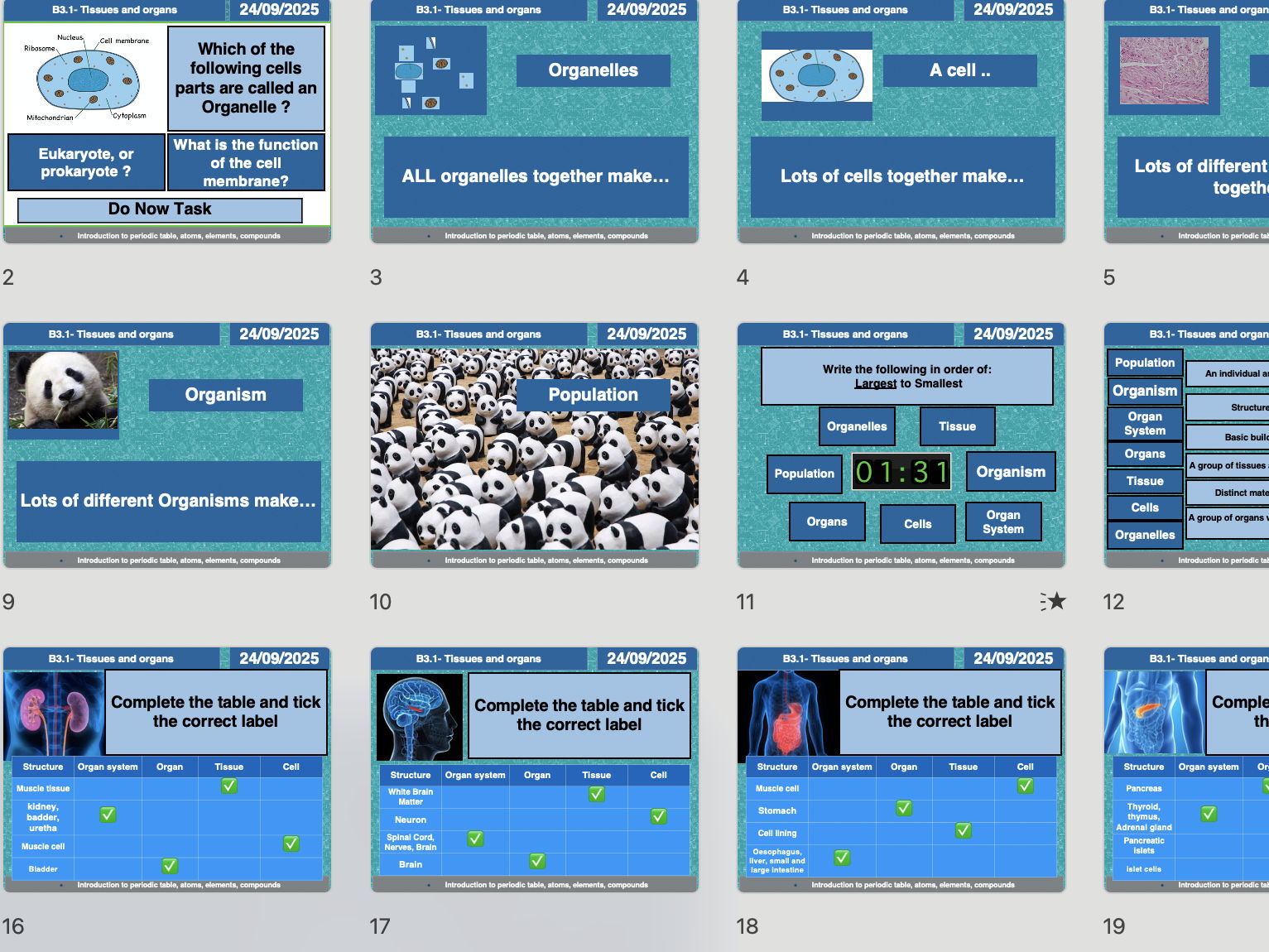 B3 Organisation & the Digestive System – Full 7 Lesson Bundle (AQA GCSE Biology & Combined Science) | PowerPoints, Worksheets, Required Practical, Exam Prep