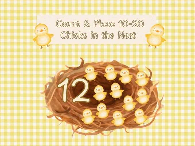 Count & Place Chicks in the Nests (10-20)