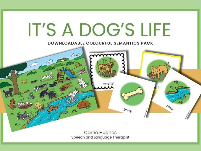 IT'S A DOG'S LIFE