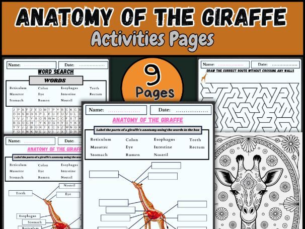 Anatomy of a Giraffe