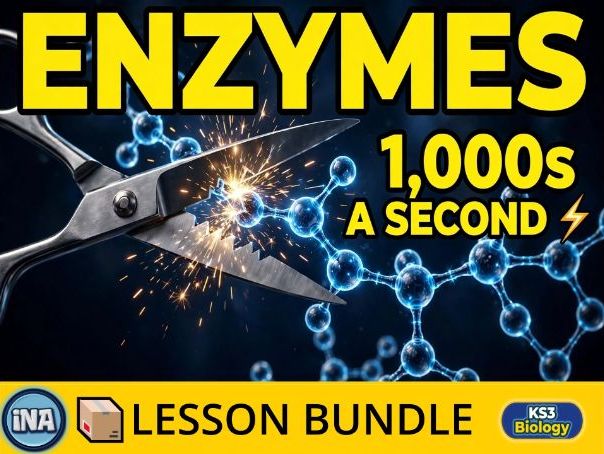 Digestive Enzymes - Complete KS3 Biology Lesson Pack