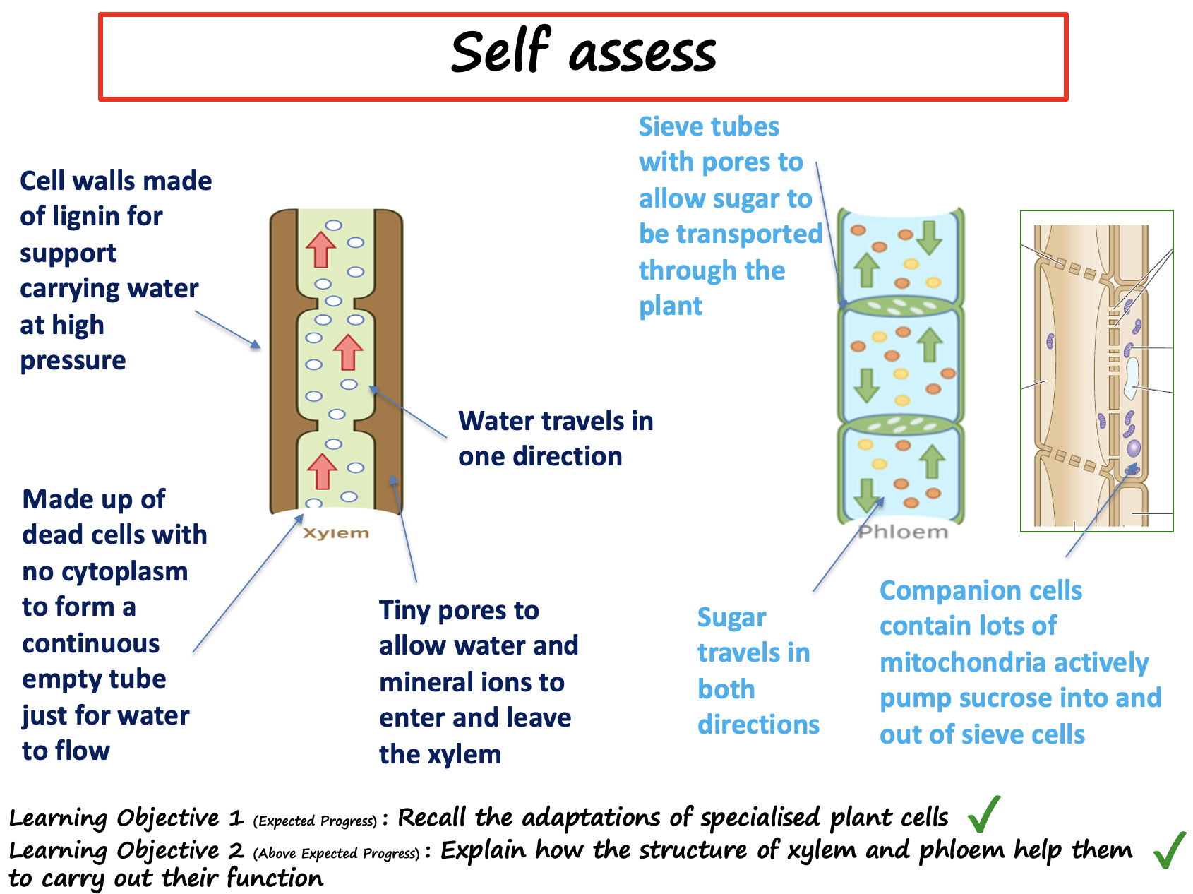 SB6 - Edexcel - lessons 1-6