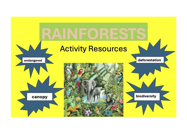 RAINFORESTS - Activity Resources