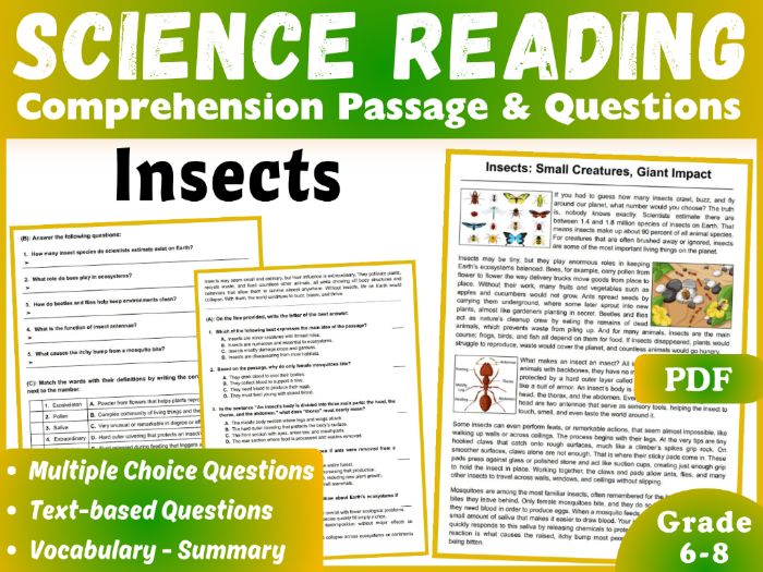 Insects Life Science Reading Comprehension Passage and Questions (4 formats)
