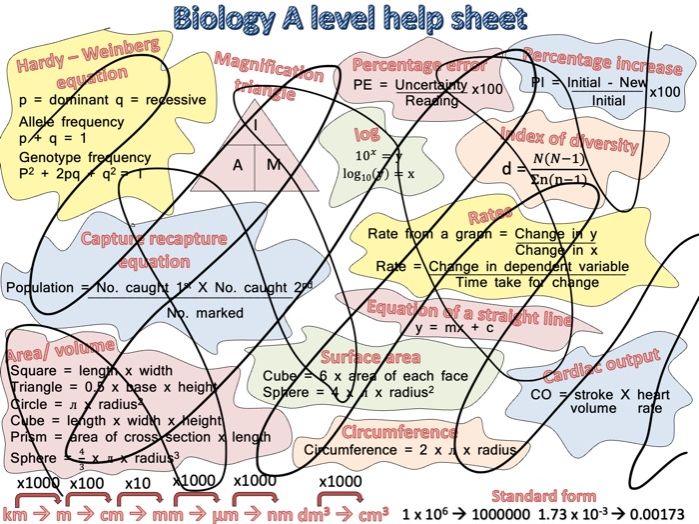 A Level Biology Maths Help Sheet
