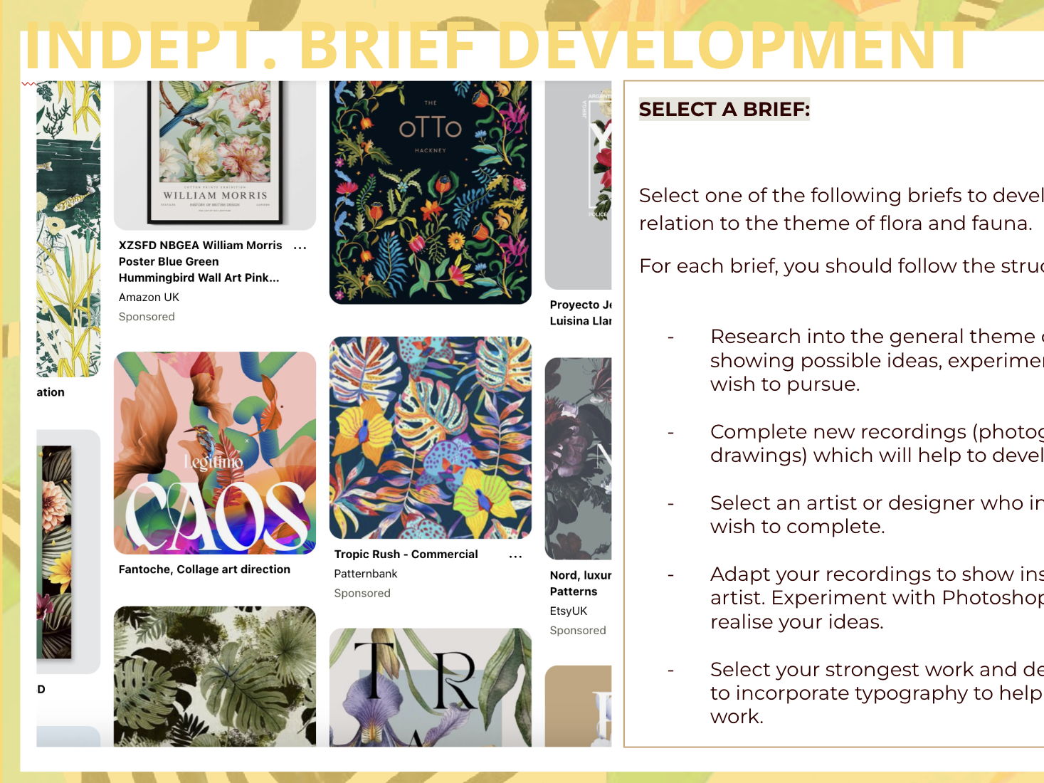 GCSE Art & Design Coursework Projects