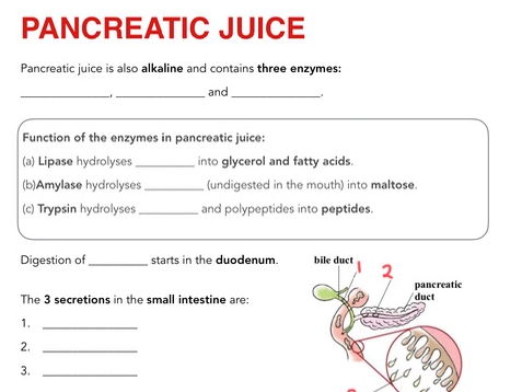 Chemical digestions - fill-in notes & exercise