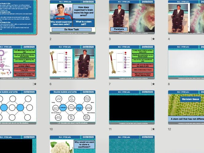 AQA GCSE Biology B2.3 – Stem Cells | Full Lesson, Worksheets & Answers (Editable)