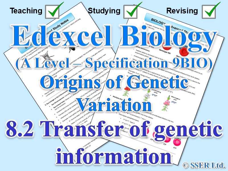 BIOA_EDX Topic Notes: 8.2 Transfer of genetic information