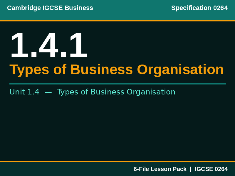 Cambridge IGCSE Business 0264 | 1.4.1 Types of Business Organisation | Lesson Pack
