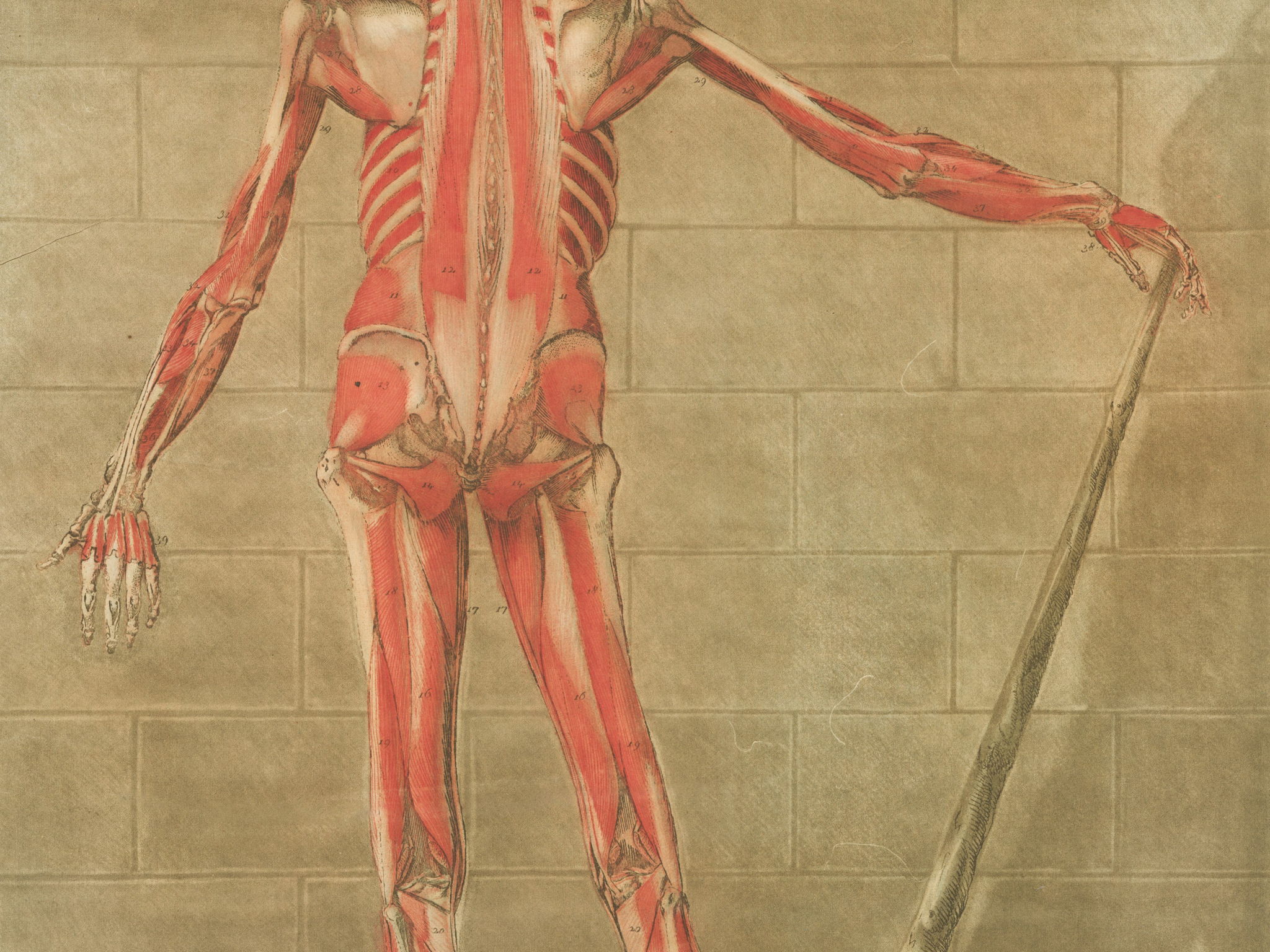 Medicine Through Time 1250+ revision/practice question booklet