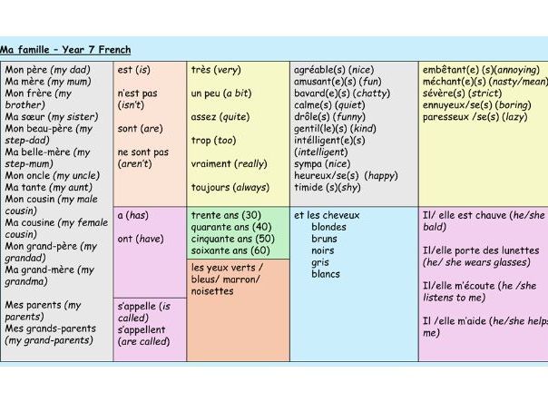 Describing family Y7 French 3 lessons