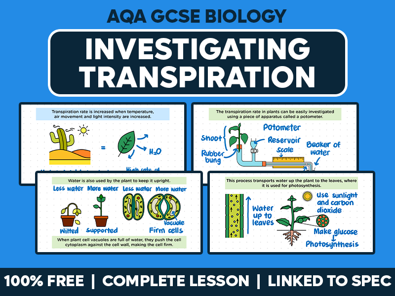 GCSE AQA Biology Complete Lesson - Investigating Transpiration