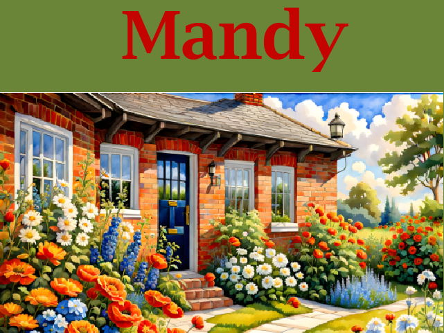 Mandy Comprehension Quizzes