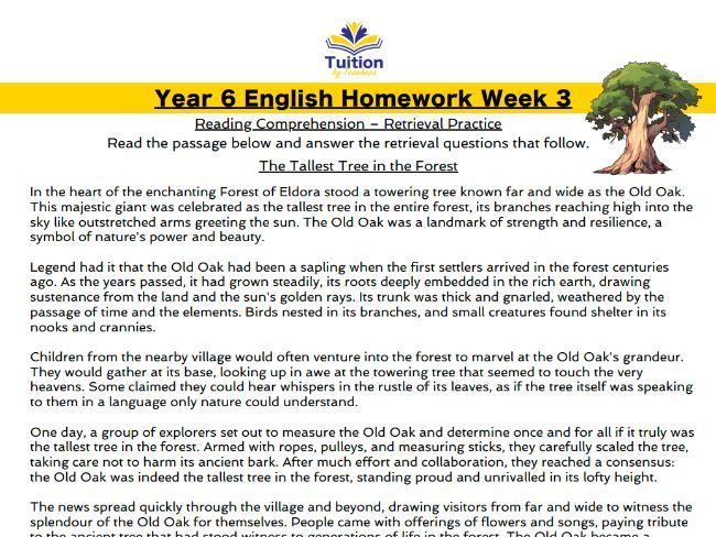 3. Year 6 - Reading Comprehension & Grammar