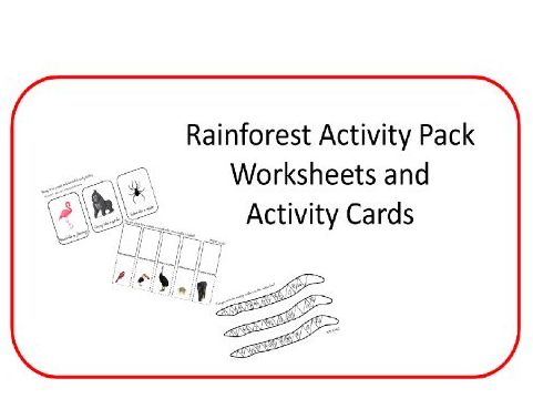 Early Years Rainforest