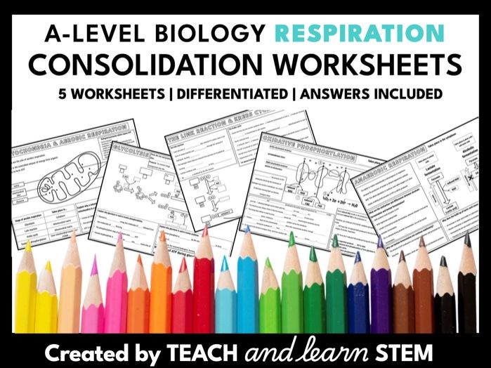 A-level Biology Respiration Summary Worksheets