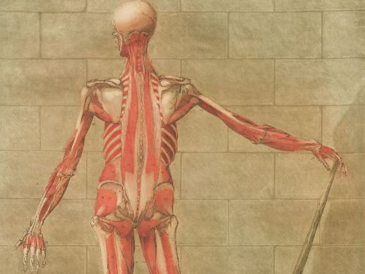 GCSE MEDICINE REVISION GAME SPOT THE WRONG WORD