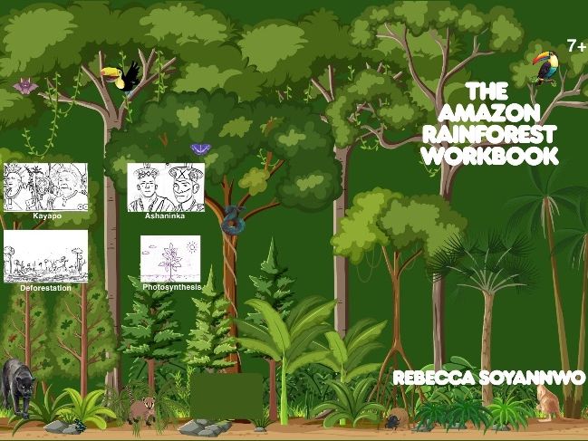 Worksheets from the Rainforest Workbook by Rebecca Soyannwo