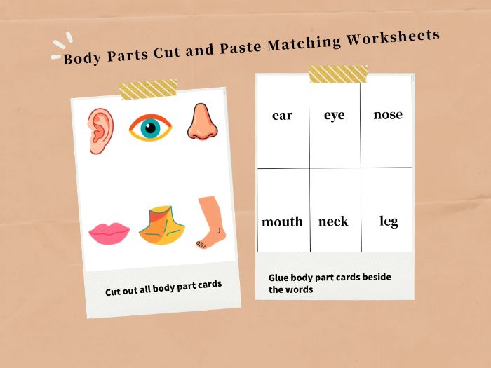 EYFS Body Parts Cut and Paste Vocabulary Worksheet