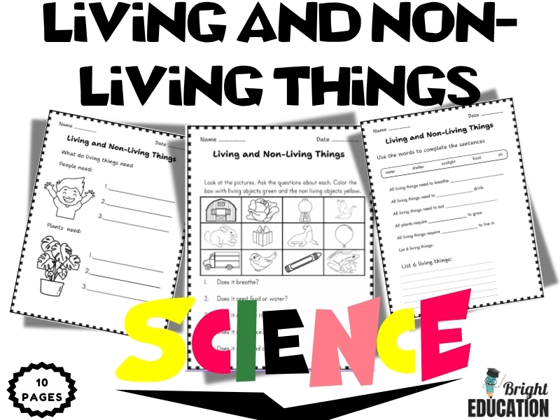 Living and Non-Living Things – Science Review Activity
