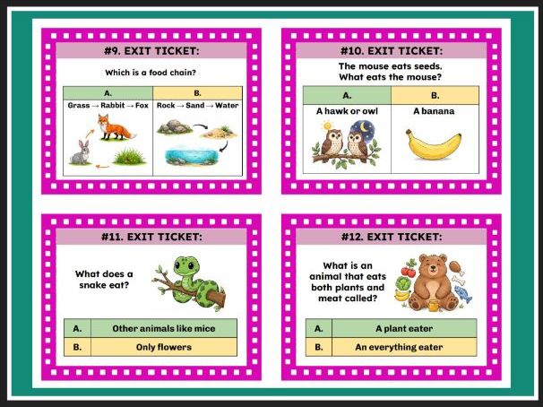 TEKS Science 1.12C Food Chains: How Living Things Need Each Other