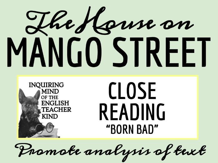 House on Mango Street Close Reading Worksheets Bundle | Teaching Resources