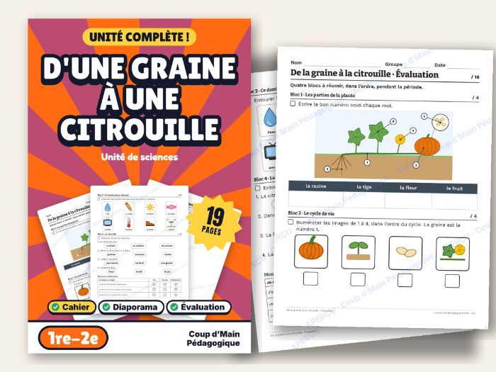 French Pumpkin Life Cycle Science Unit Grade 1-2 | De la graine à la citrouille